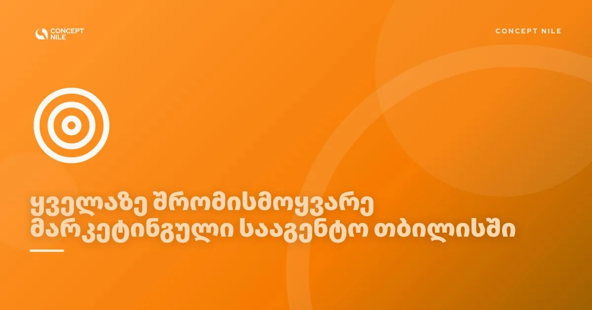 Concept Nile, ყველაზე შრომისმოყვარე მარკეტინგული სააგენტო თბილისში